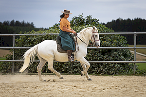 Yoga & Reiten